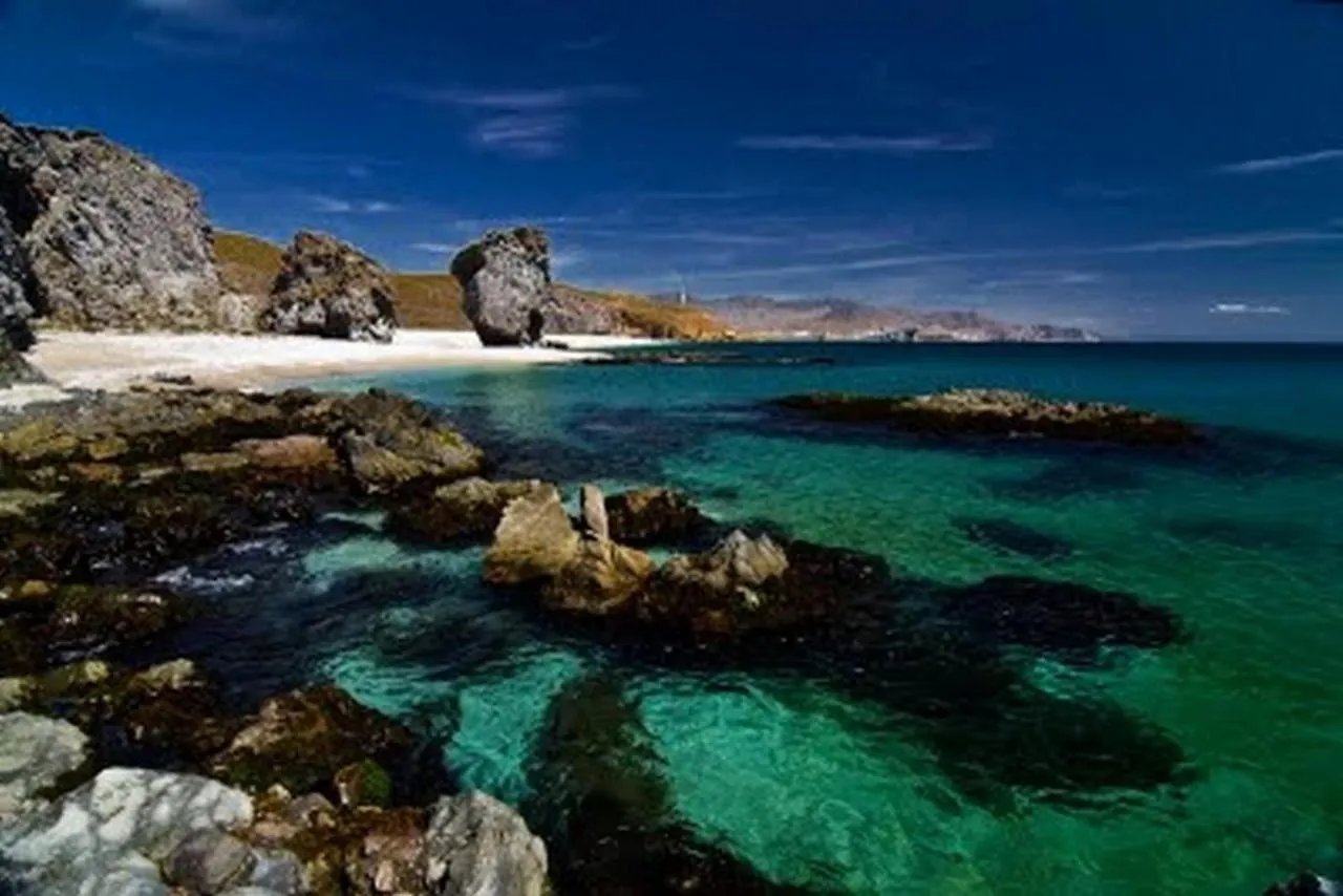 Paraiso de Vera Playa: Beachfront Apartments with Pool Views